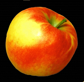 Ein Birnenapfel